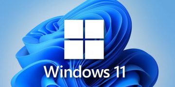 Bộ điều hợp mạng bị lỗi Win 11