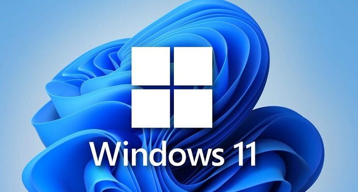 Bộ điều hợp mạng bị lỗi Win 11