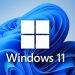 Bộ điều hợp mạng bị lỗi Win 11