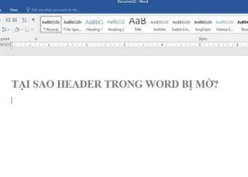 Tại sao Header Footer bị mờ?