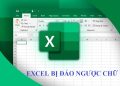 Excel bị đảo ngược chữ