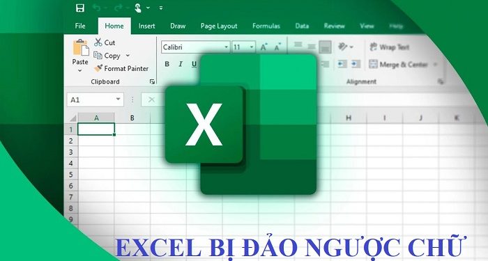 Excel bị đảo ngược chữ