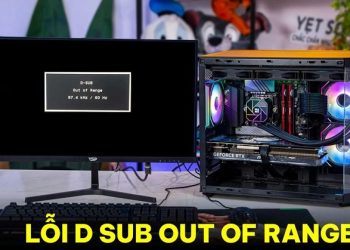 Lỗi d sub out of range