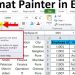lỗi không Format Painter trong Excel